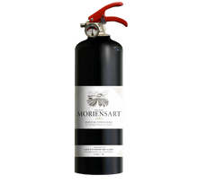 Upload image to gallery, Design fire extinguisher WINE