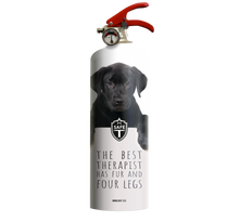 Upload image to gallery, Extinguisher DOGS