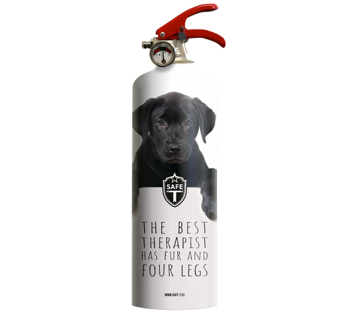 Extinguisher DOGS