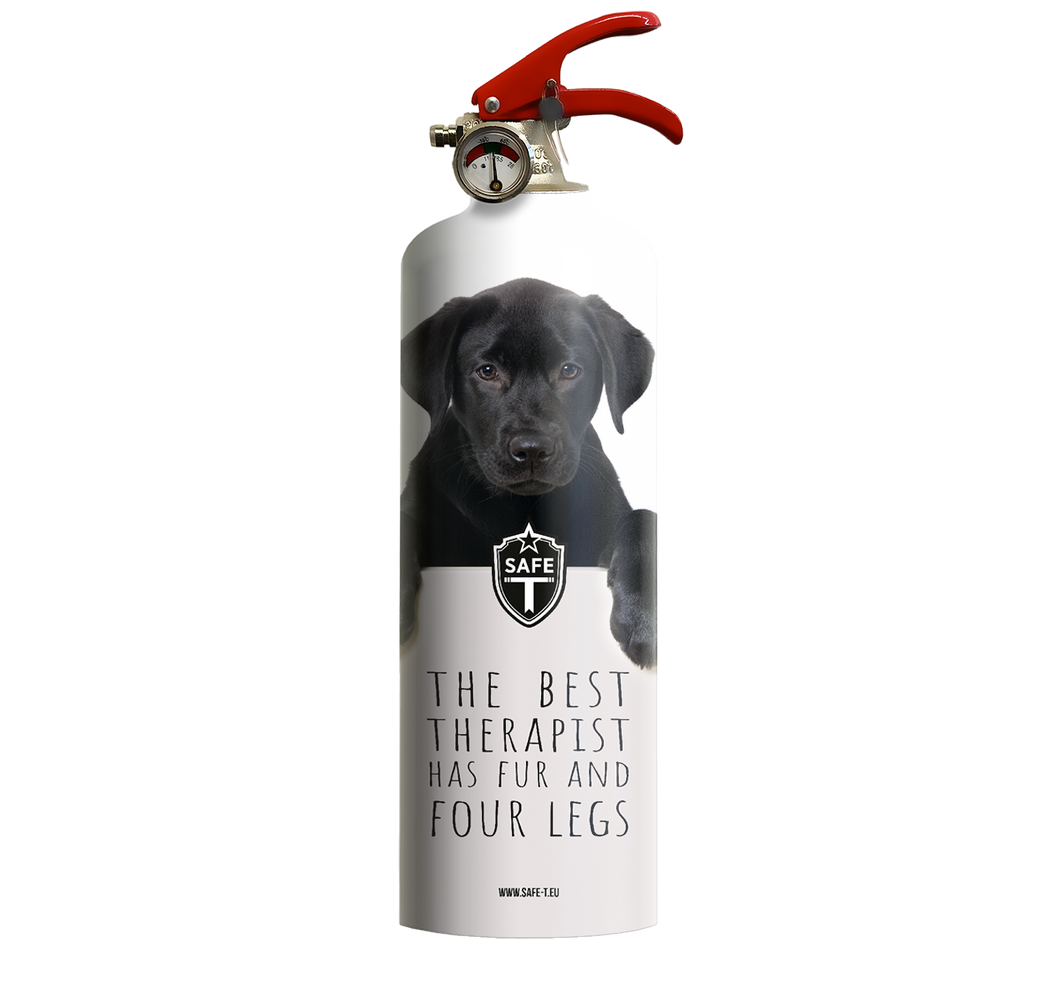 Extinguisher DOGS