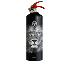 Charger l&#39;image dans la galerie, Extincteur LION